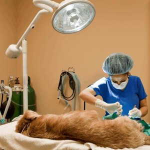 Jak należy postępować w przypadku OSŻ?