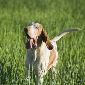 Co może spowodować OSŻ?