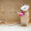 Jak zrobić zabawną zakładkę – myszkę?