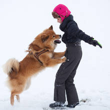 Co zrobić, żeby pies nie skakał na gości?