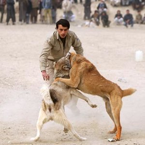 Czego nie powinno się robić?