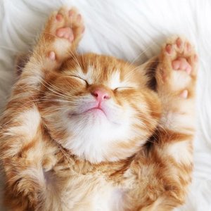 Nawilżanie pomieszczenia