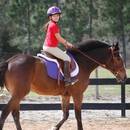 Jak rozpocząć naukę jazdy konnej?