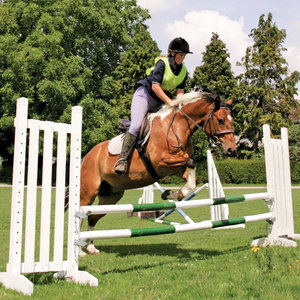 Ujeżdżanie i konkursy