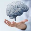 Prosty sposób zwiększenia możliwości intelektualnych