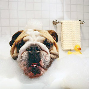 Akcesoria do kąpieli