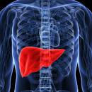 Oczyszczanie wątroby według Huldy Clark – jak to zrobić?