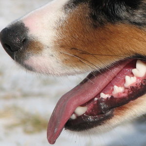 Sposób używania pasty