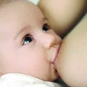 Układanie w zamrażalniku