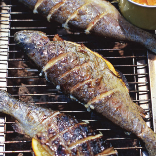 Jak przyrządzić doskonałą rybę z grilla?