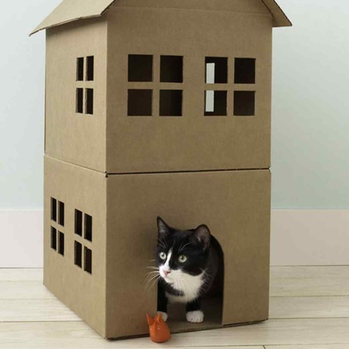 Jak wykonać domek z kartonu dla kota?