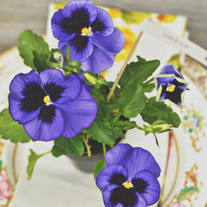 Jakich rzeczy potrzeba?