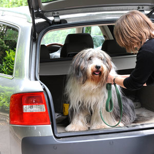 Wykorzystaj bagażnik