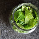 Jak samodzielnie przygotować ekstrakt miętowy?