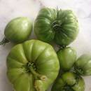 Wyjątkowe zielone pomidory zapiekane w cieście – jak je przyrządzić?