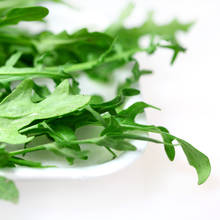 Podstawowe zasady sadzenia rukoli