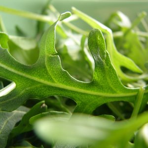 Przygotowanie miejsca