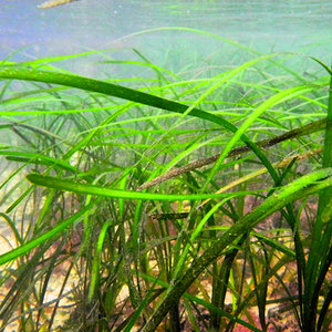 Niezbędne minerały