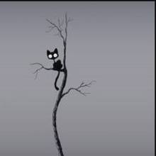 Jak zdjąć kota z drzewa?