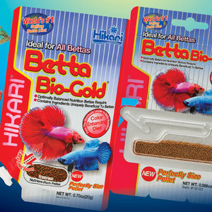 Rodzaje karmy odpowiednie dla bojownika