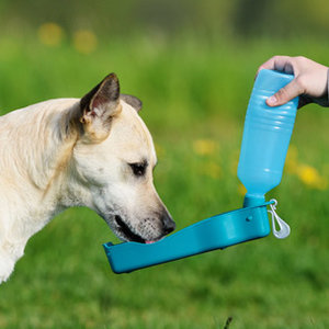 O czym jeszcze trzeba pamiętać?