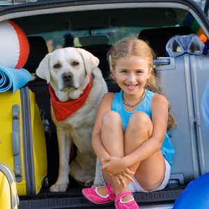 Niezbędna adresówka