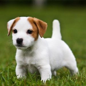 Najlepsze mleko matki