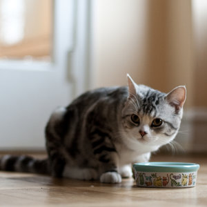 Zachęcanie zapachem