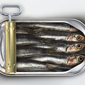Zdrowe sardynki