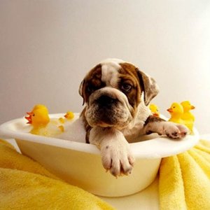 Czego będziesz potrzebować?