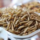 Dobre przepisy dla osoby na diecie proteinowej