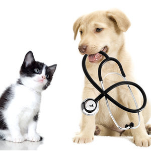 Oswojenie z sytuacją