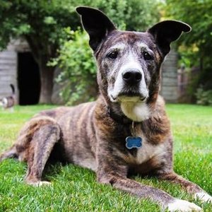 Aktywność fizyczna