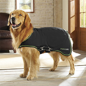 Regulacja temperatury