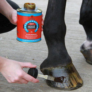 Natłuszczanie kopyt
