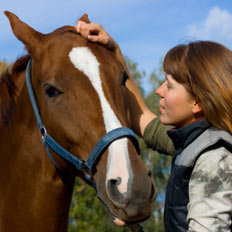 Poczucie bezpieczeństwa