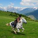 Jak sobie poradzić, kiedy koń poniesie?