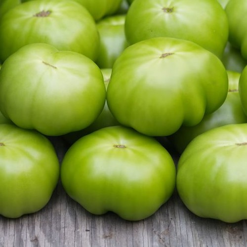 Jak dobrze mrozić zielone pomidory?