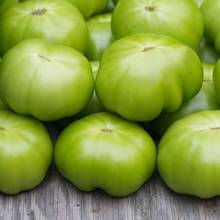 Jak dobrze mrozić zielone pomidory?