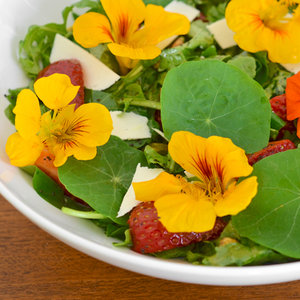 Jakie składniki są potrzebne?