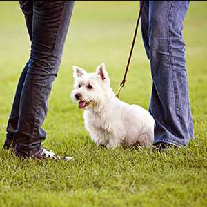 Szukaj okazji do rozmowy