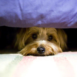 Gdy potrzebne są leki