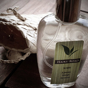 Sposób wykorzystania