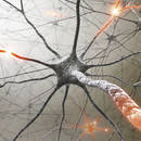 jakie są symptomy stwardnienia rozsianego?