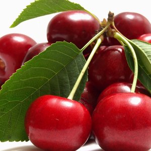 Jakie składniki są potrzebne?