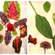 Jak zrobić ładne motyle z liści?