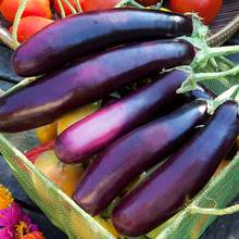 Smażenie bakłażanów – podstawowe zasady