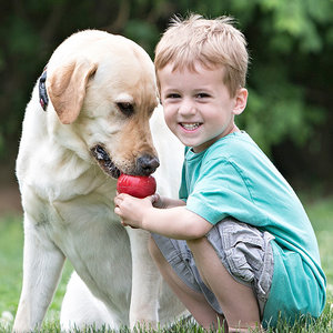 Odstraszający spray