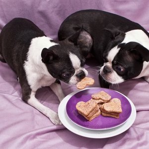 Jakie składniki są potrzebne?