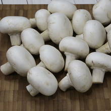 Podstawowe zasady gotowania pieczarek